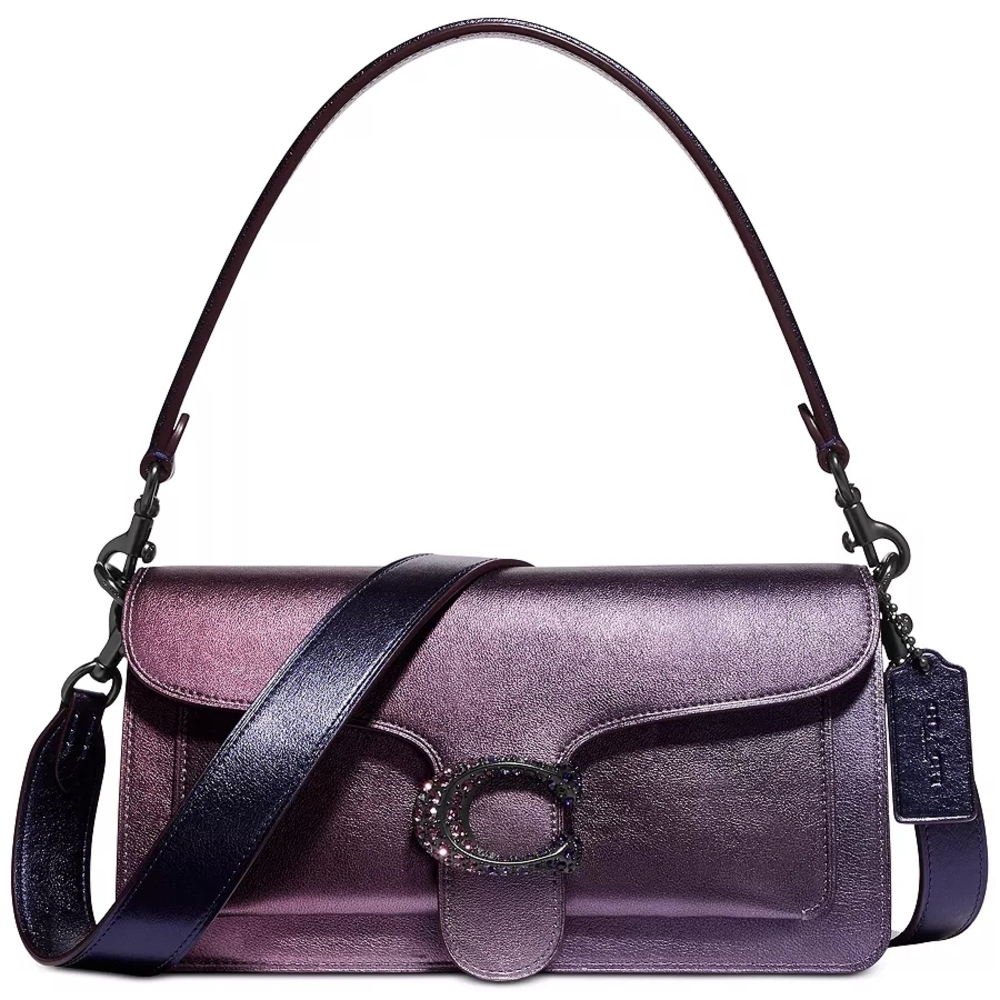 Ultra Rare Coach Ombre Iridescent Tabby Bag